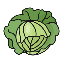 Cabbage icon