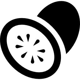 Kiwi fruit icon