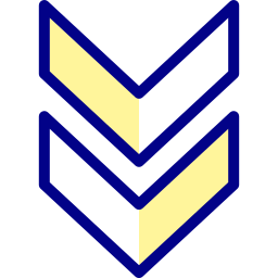 chevrons icon