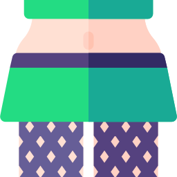 falda icono