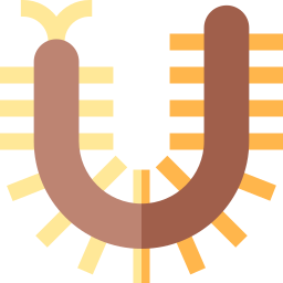 scolopendra icono