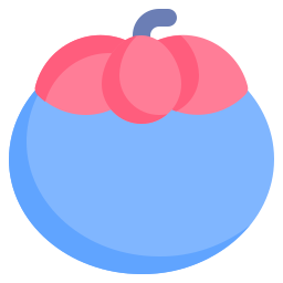 mangostan icon