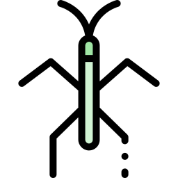 Stick bug icon