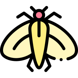 polilla icono