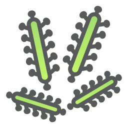 virus icon