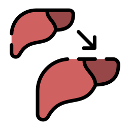 encéphalopathie Icône