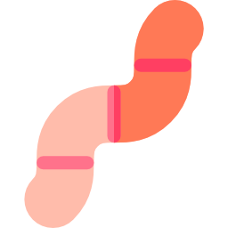 Worm icon