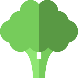 Broccoli icon