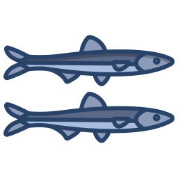 anchoa icono