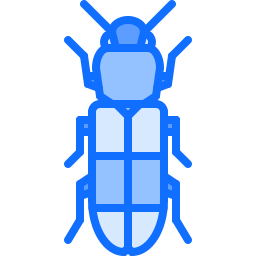 Beetle icon