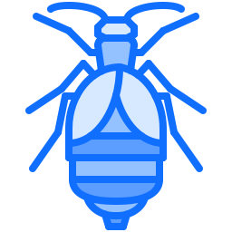 Beetle icon