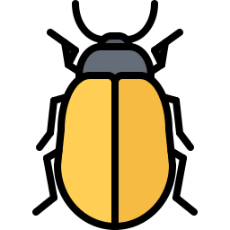chrząszcz ikona
