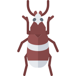 Beetle icon