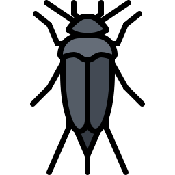 Beetle icon