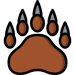 Bear icon