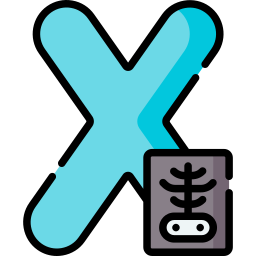 Letter x icon