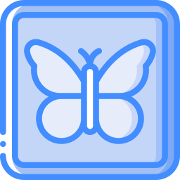 schmetterling icon