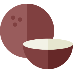 Coconut icon