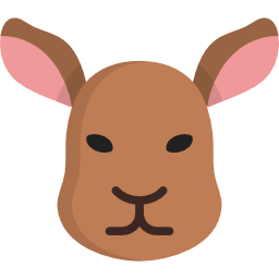 Kangaroo icon