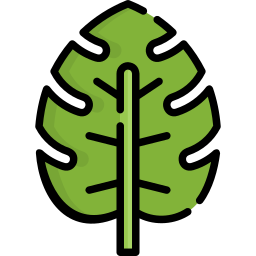 Leaf icon