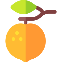 tangerina Ícone