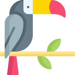 toucan Icône