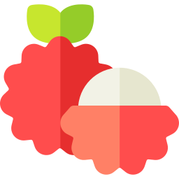 Lychee icon