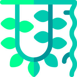 Vine icon