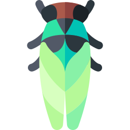cicade icoon
