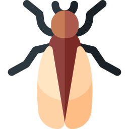 Cicada icon