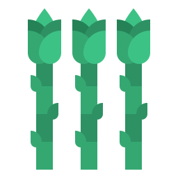 Asparagus icon