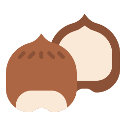 Hazelnut icon