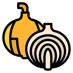 Onions icon