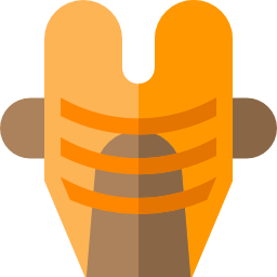 Vest icon