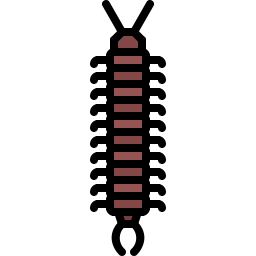 ciempiés icono