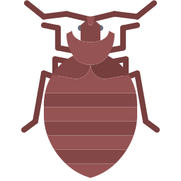 Bug icon