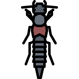 Bug icon