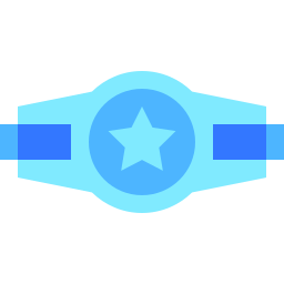 ceinture de champion Icône