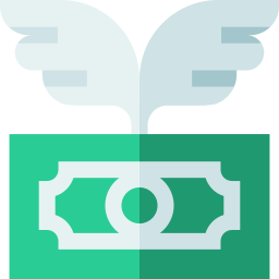 Money icon