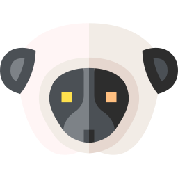 Sifaka lemur icon