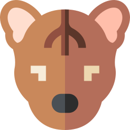 fossa icon