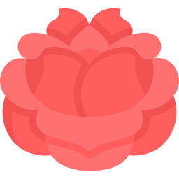 Rose icon