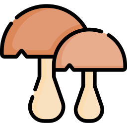 champignon Icône