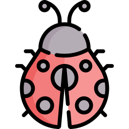 coccinelle Icône