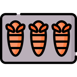 insecto frito icono
