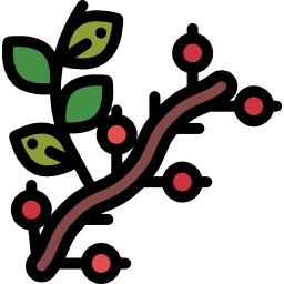 bayas icono