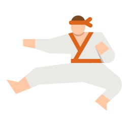 karate icoon