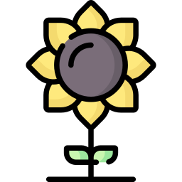 zonnebloem icoon