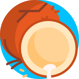 Coconut icon