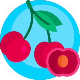 Cherry icon